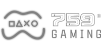 Visa partner logo